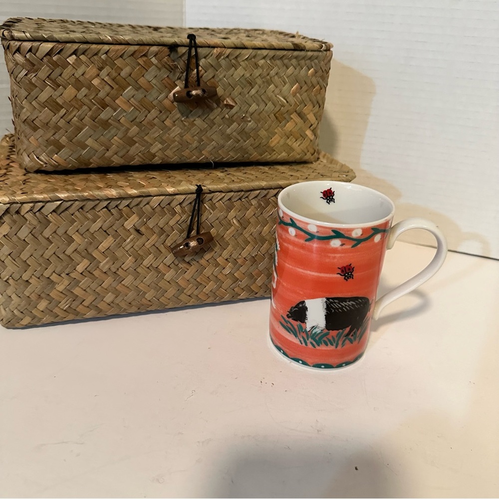 Dunoon Mug Made In Scotland